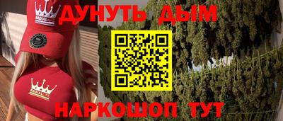 тгк Новодвинск