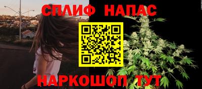 ешки Новозыбков