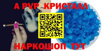 тгк Новодвинск
