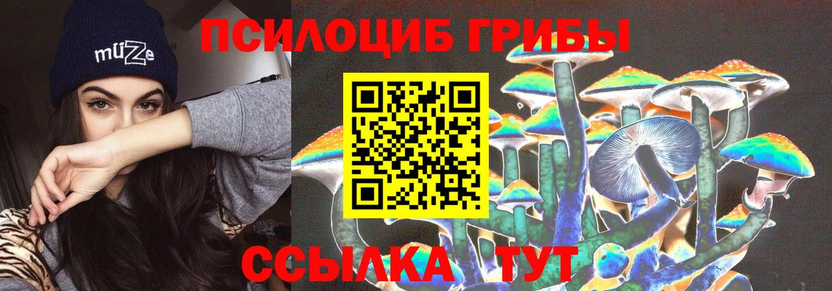 Галлюциногенные грибы ЛСД Усть-Джегута