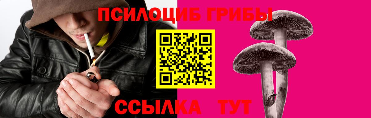 Галлюциногенные грибы Psilocybine cubensis  Галлюциногенные грибы ЛСД  Вход с VPN  Усть-Джегута 